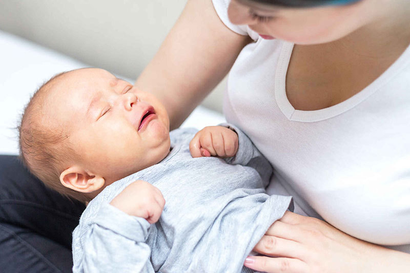 colicos en bebes